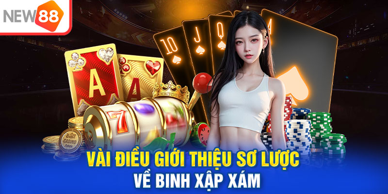 Vài điều giới thiệu sơ lược về binh xập xám