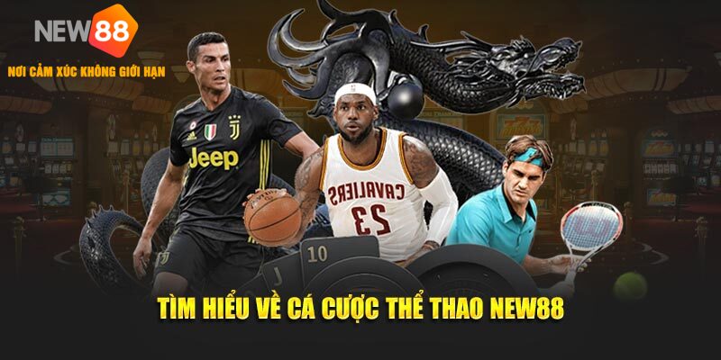 Tìm hiểu khái quát thông tin về cá cược thể thao NEW88